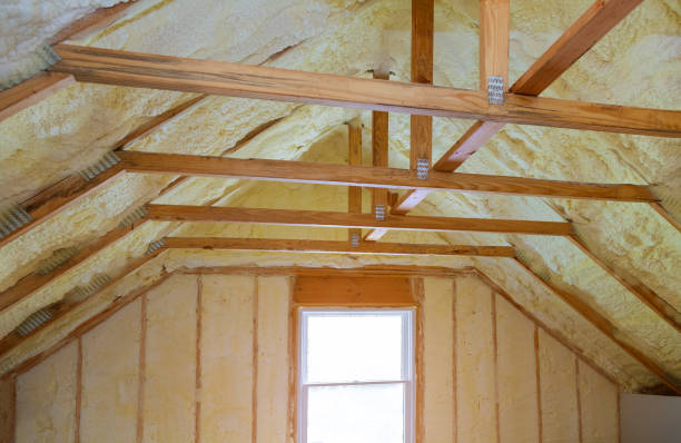 Best Eco-Friendly Insulation in Prairie View, TX