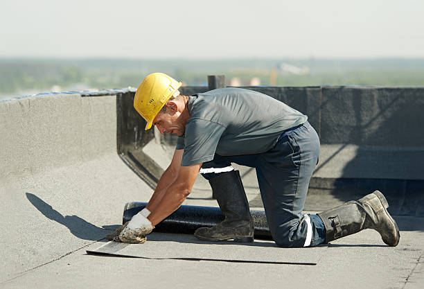 Best Specialized Insulation Services in Prairie View, TX